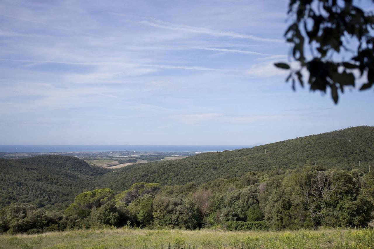 La Lepraia Estate Villa Castellina Marittima Luaran gambar